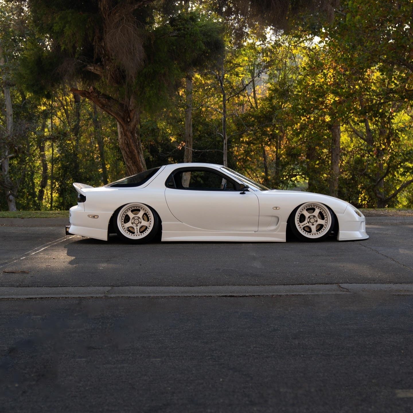 FS2020 - Frozen Satin White - Inozetek USA