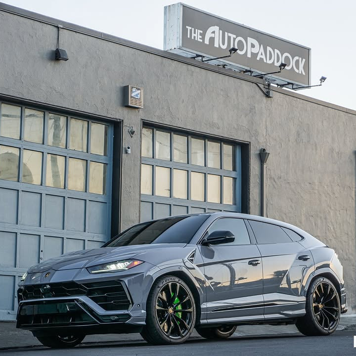 DPPF905 - Falcon Grey [WET APPLY] - Inozetek USA