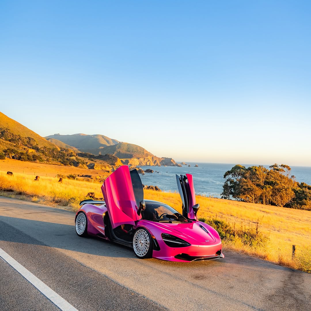 MSG2907 - Metallic Beauberry - Inozetek USA