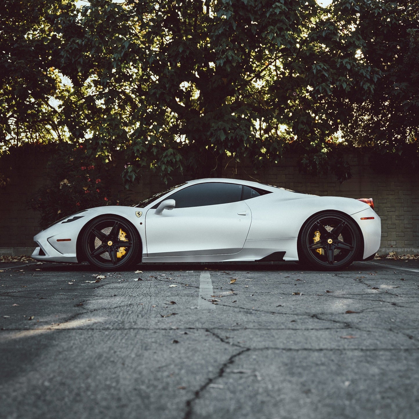 DPPF807 - Satin Pearl White - Inozetek USA