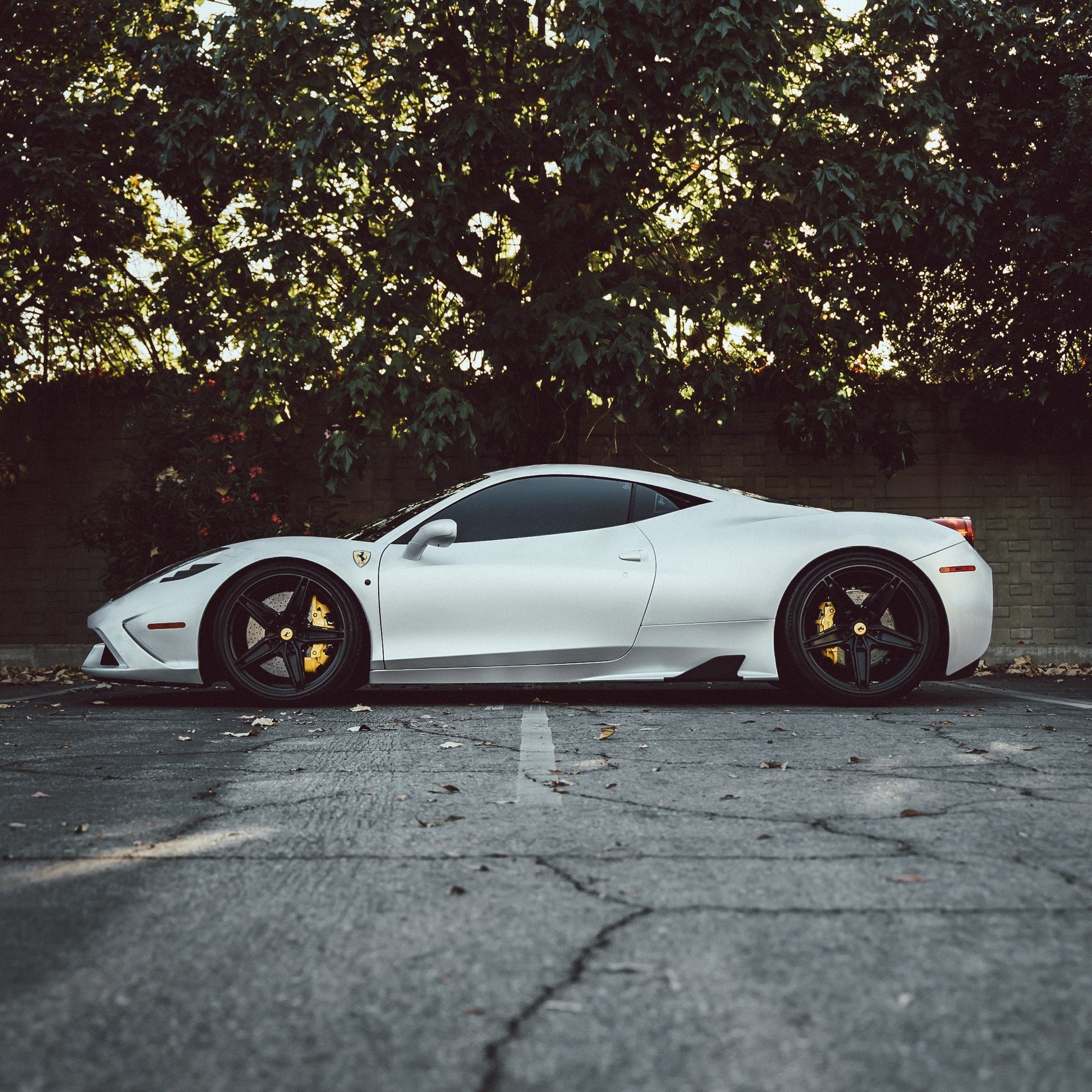 DPPF807 - Satin Pearl White - Inozetek USA